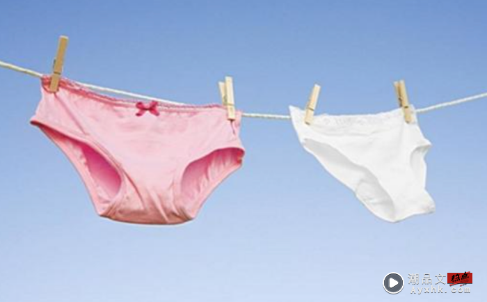Tips｜女生内裤只能穿X个月？超过时间小心过万细菌缠上你！ 更多热点 图1张